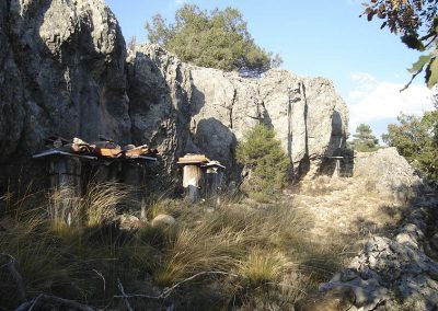 Colmenas en Buenache