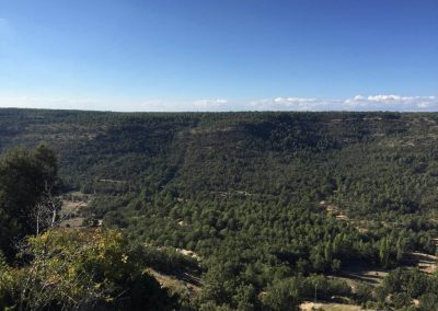Vista desde zona alta de Buenache